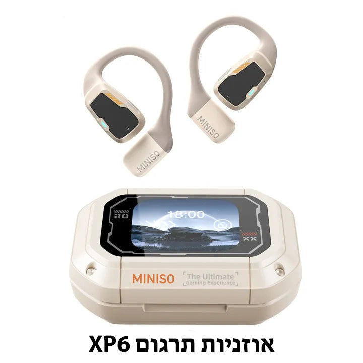 XP6 מתרגם